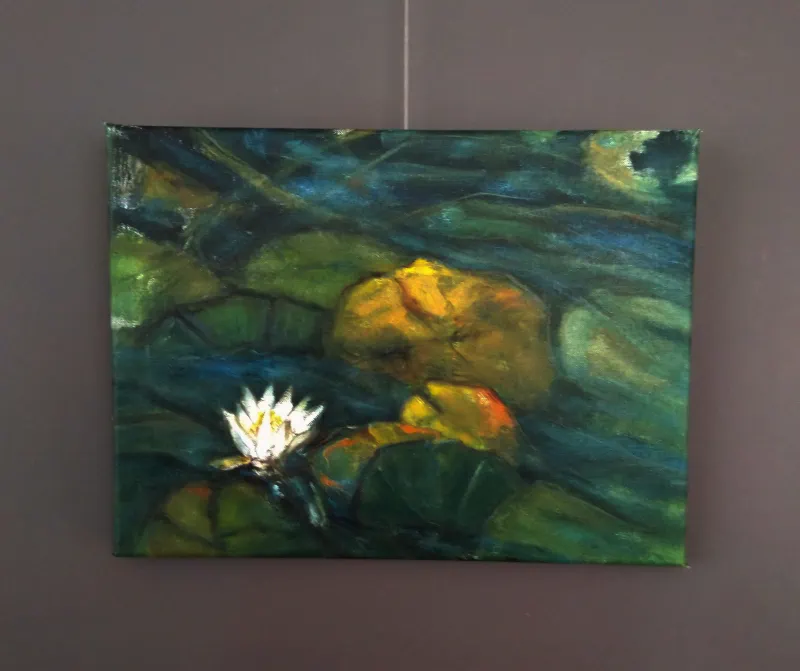 Waterlelie Witte Bloem